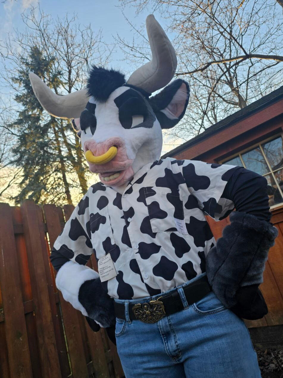 Cow Pre-Made 2024