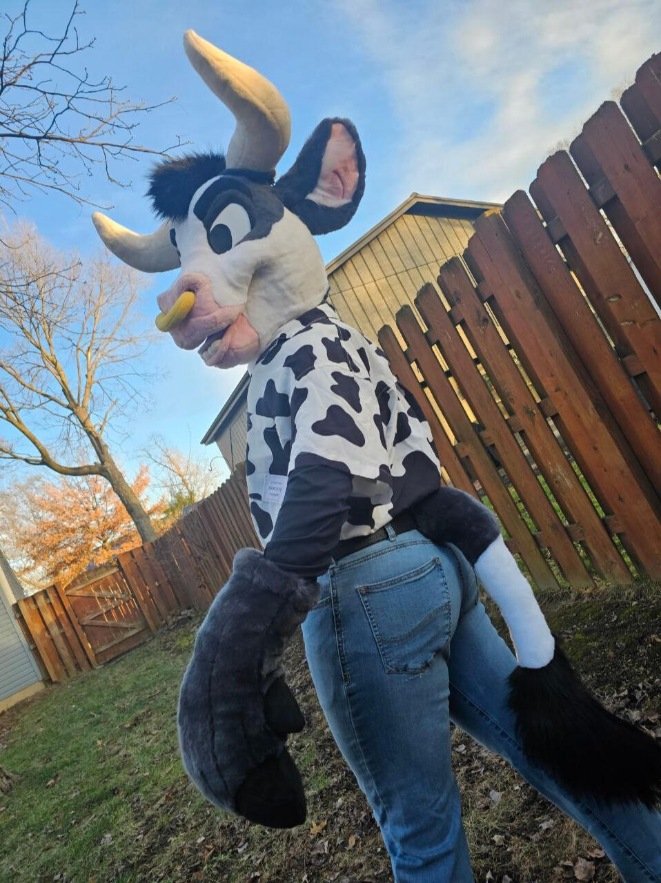 Cow Pre-Made 2024